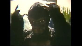 Alucinacoes.Sexuais.de.Um.Macaco.1986.VHSRip.XviD-iGORE